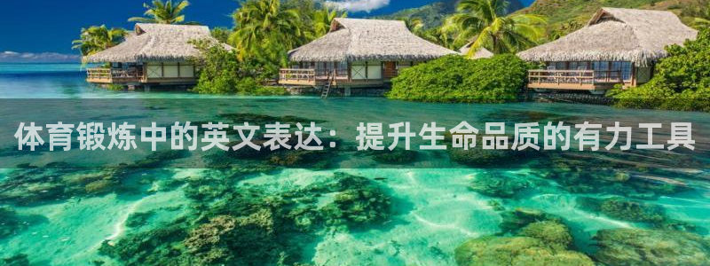球速体育