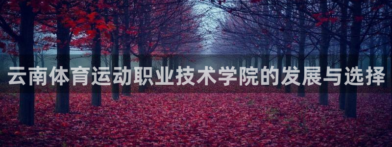 球速体育