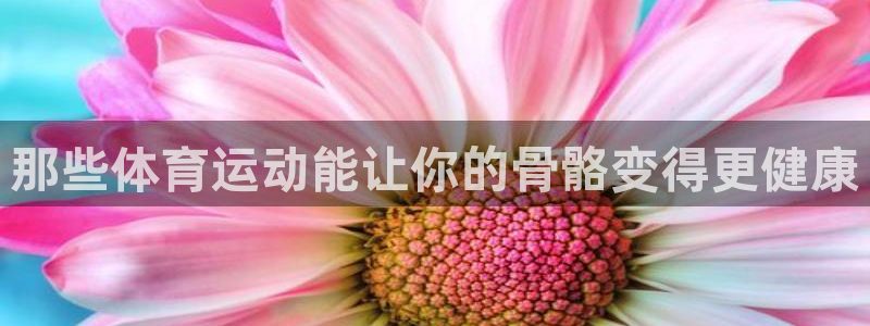 球速体育