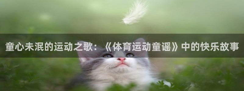 球速体育