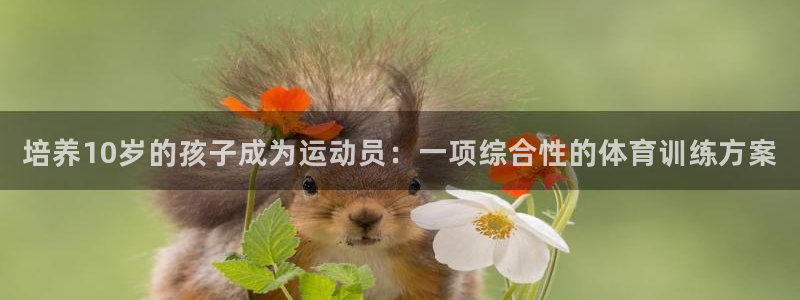 球速体育