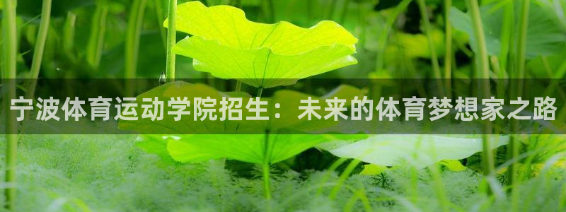 球速体育