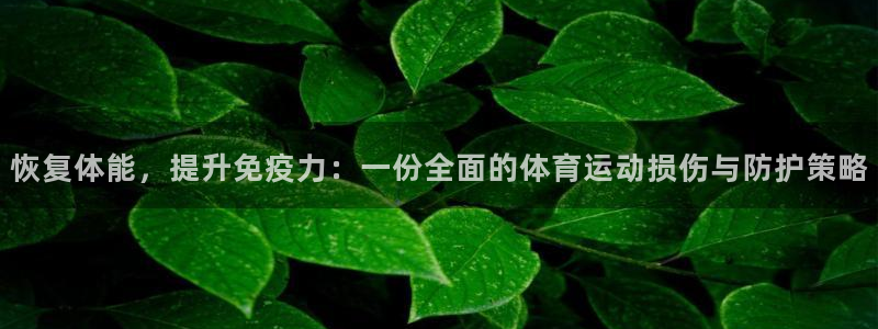 球速体育
