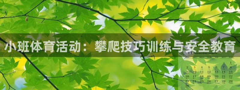 球速体育