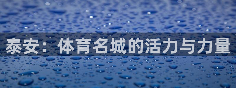 球速体育