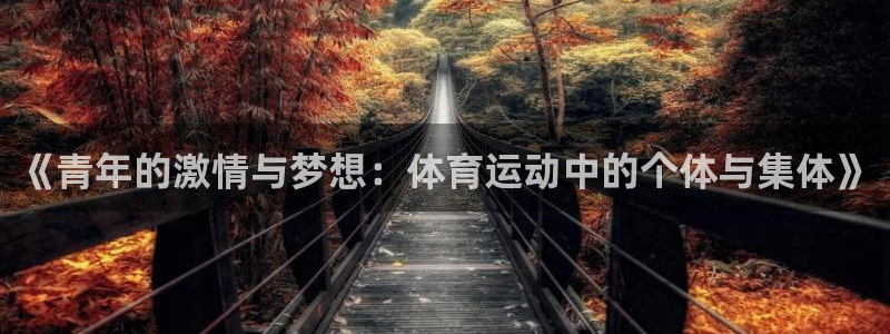 球速体育
