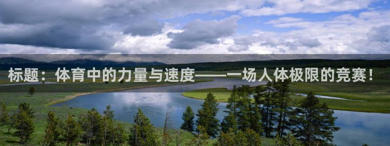 球速体育